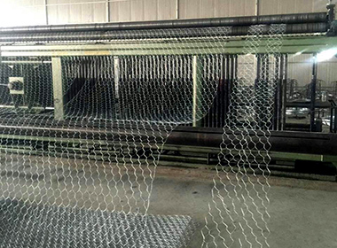Hexagonal wire mesh